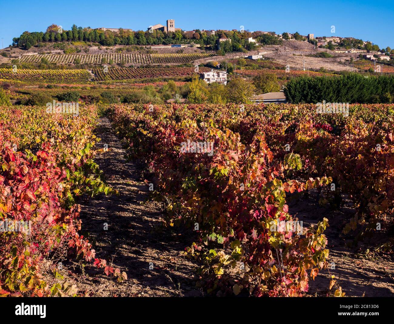 Paisaje de viñedos con Laguardia al fondo. Álava. País Vasco. España Stock Photo