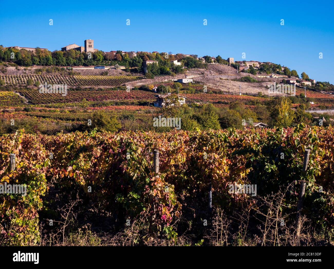 Paisaje de viñedos con Laguardia al fondo. Álava. País Vasco. España Stock Photo