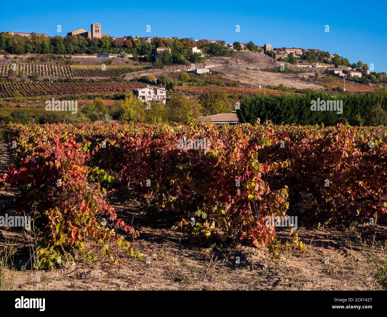 Paisaje de viñedos con Laguardia al fondo. Álava. País Vasco. España Stock Photo