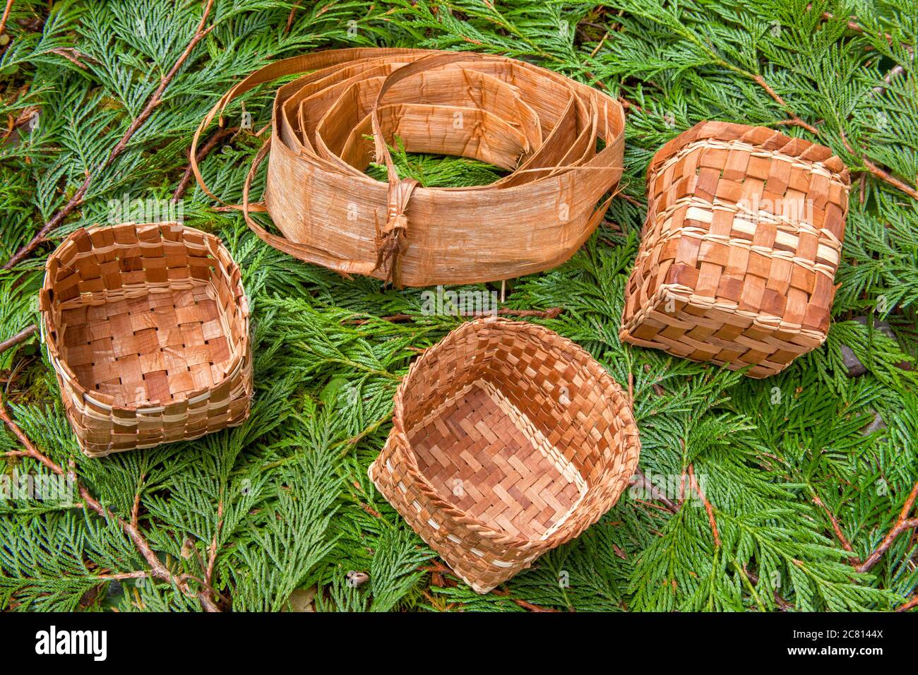Roll of pliant Western Red Cedar inner bark and three handmade Western Red Cedar baskets woven from strips of inner bark, lying on Western Red Cedar b Stock Photo