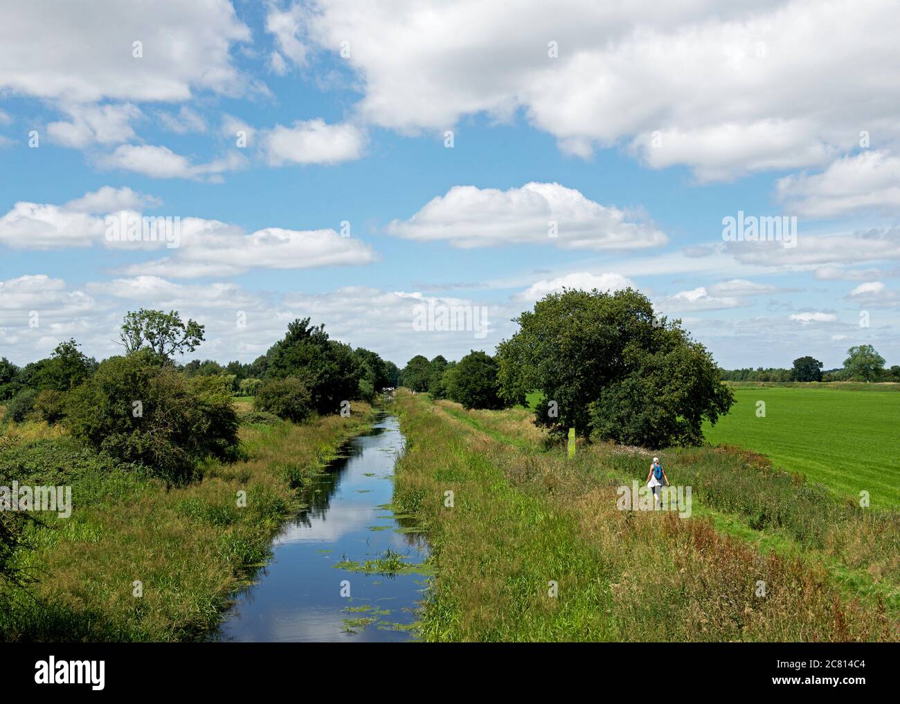 The Pocklington Canal near Melbourne, East Yorkshire, England UK Stock