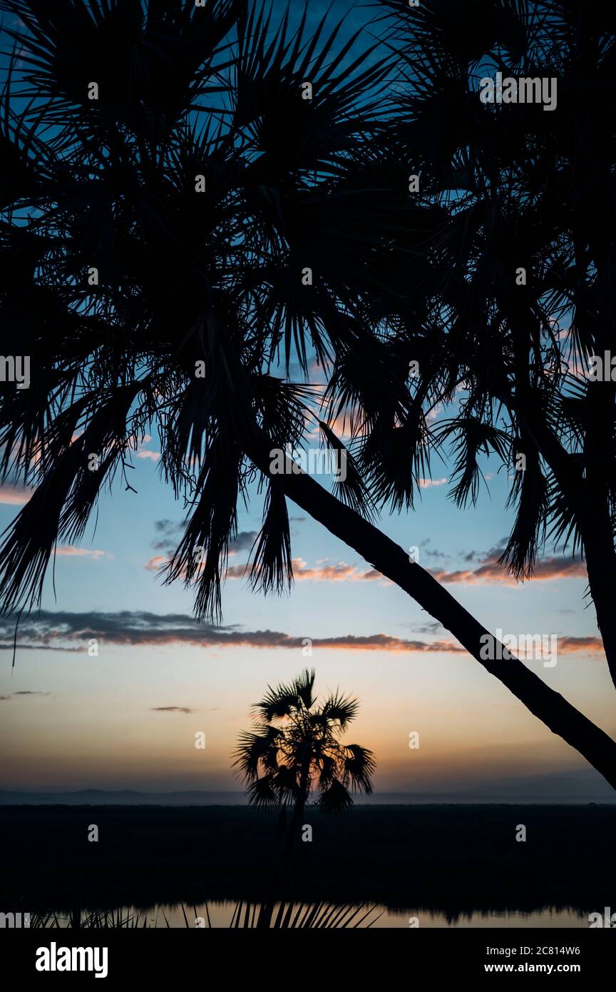 Natural hot spring oasis at Doho Safari Lodge in the Afar Region of ...