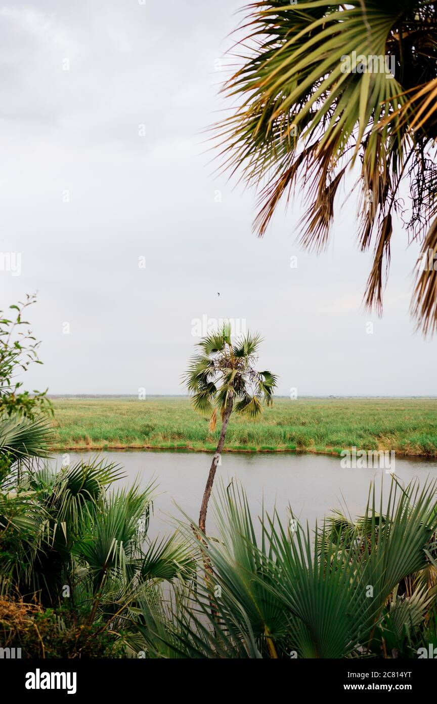 Natural hot spring oasis at Doho Safari Lodge in the Afar Region of ...