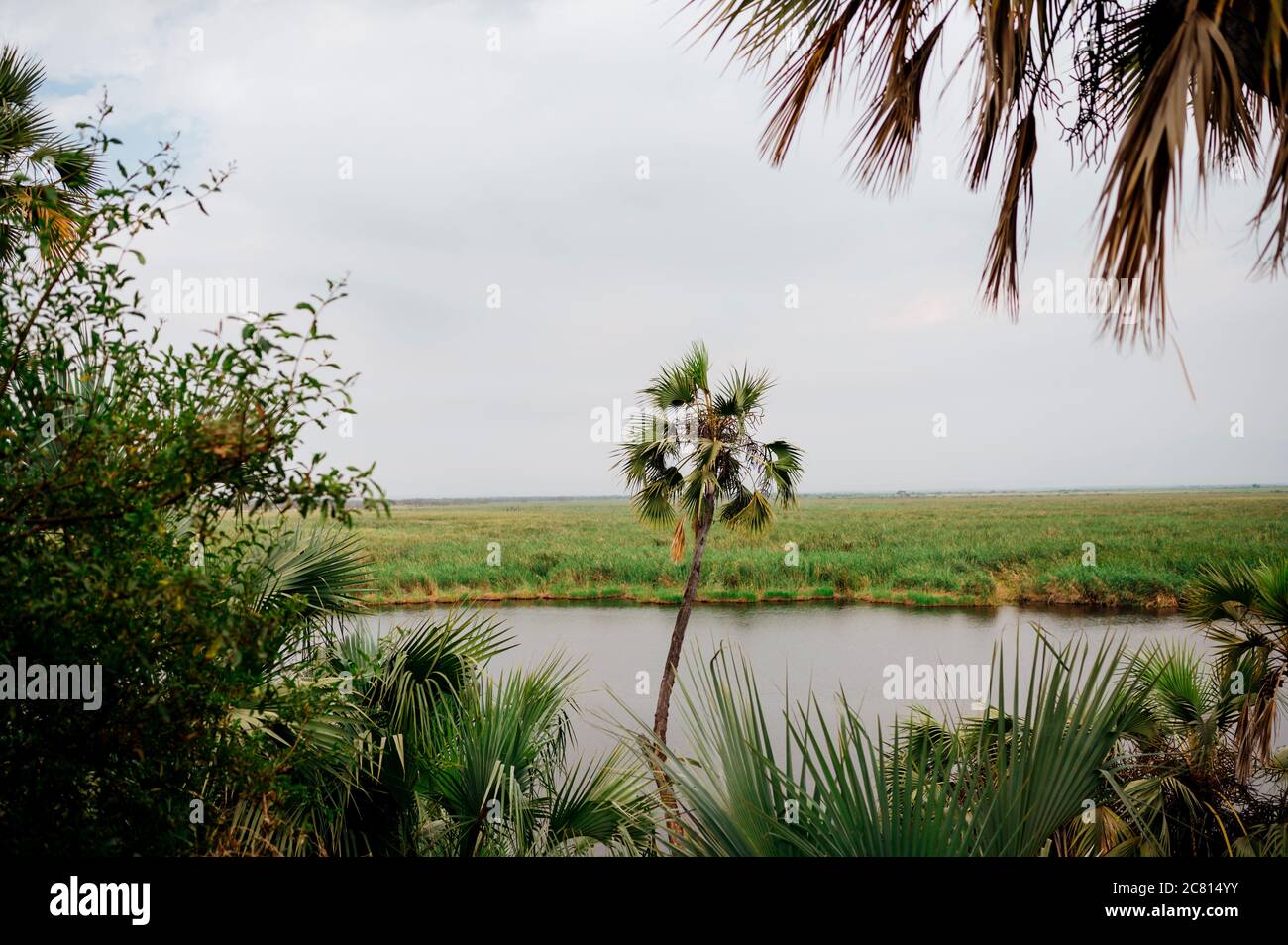 Natural hot spring oasis at Doho Safari Lodge in the Afar Region of ...