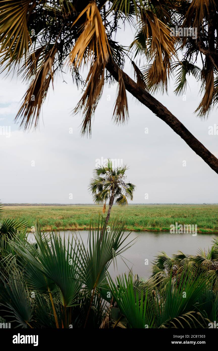 Natural hot spring oasis at Doho Safari Lodge in the Afar Region of ...
