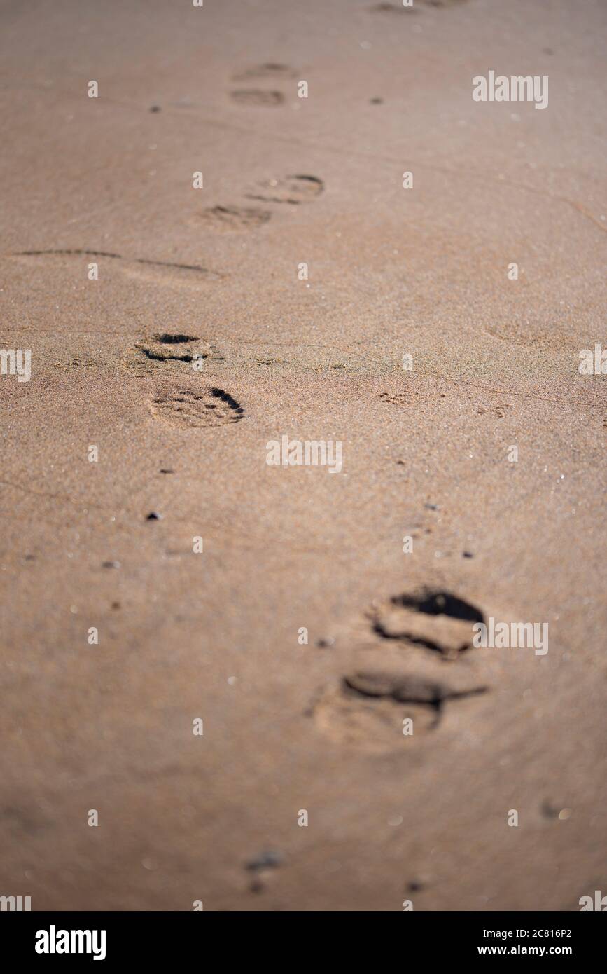 Footprints in sand Stock Photo