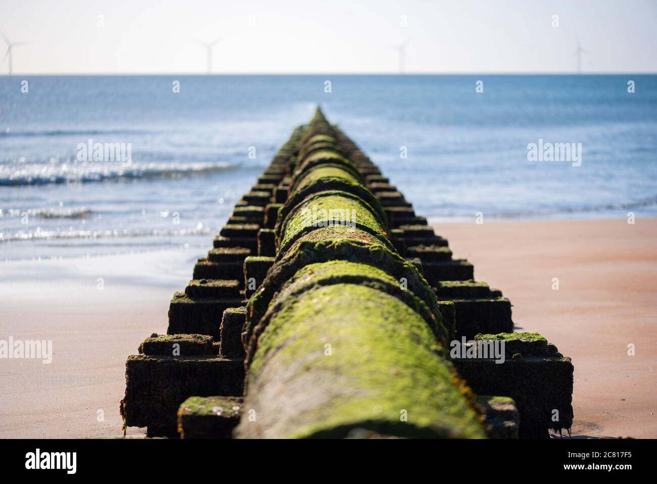 Lifebouy at seaside Stock Photo