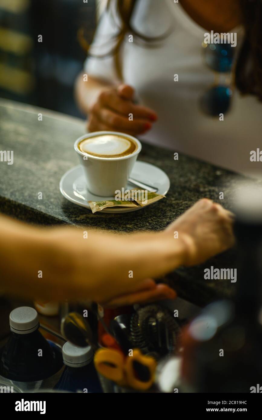 Hands of young adult caucasian female barista prepares milk Stock Photo