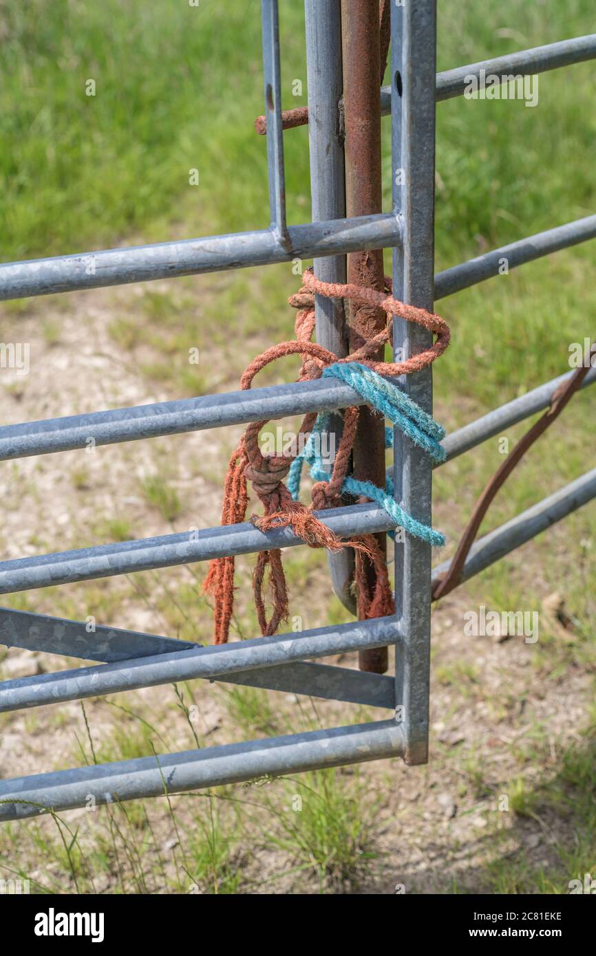Galvanized & rusty metal farm gates lashed together. For lash-up, propping up economy, UK farming & agriculture, grass on other side. Stock Photo