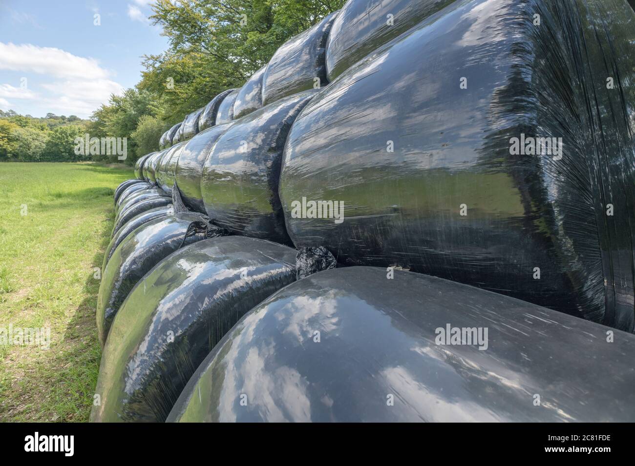 Black polywrap wrapped haylage bales in summer sunshine reflecting sun and grass in field. Metaphor UK farming industry, & also plastic uses, Stock Photo