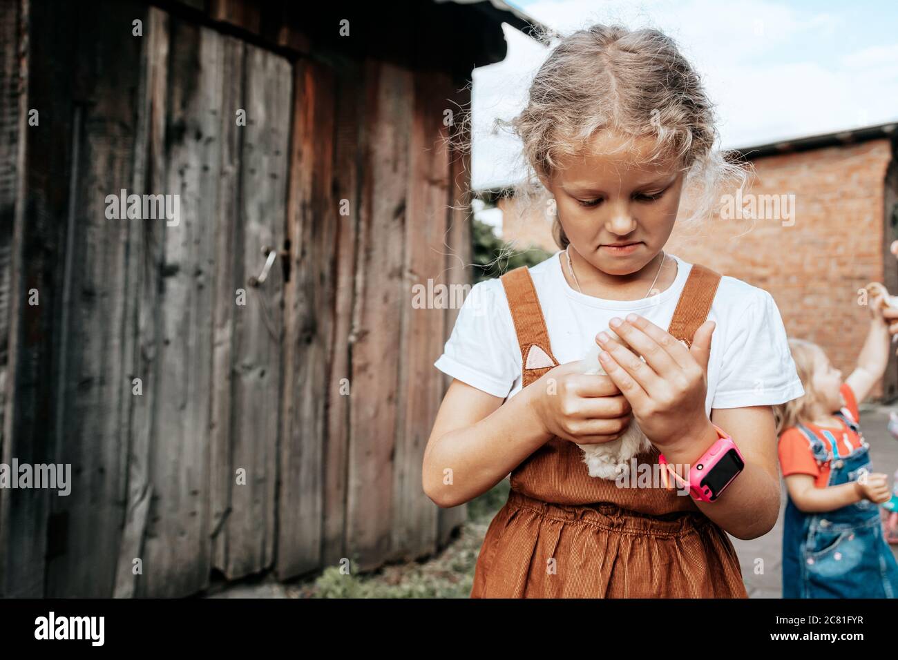 A girl takes care of the newly born yellow chickens in yard.  Small home farm and petting zoo concept Stock Photo