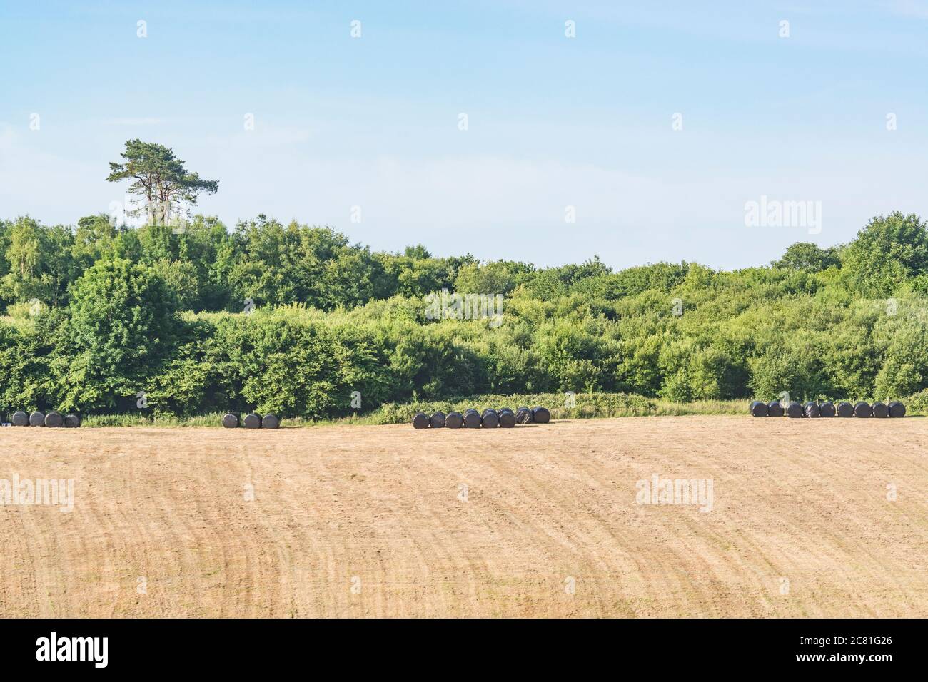 Distant black polywrap wrapped haylage bales in summer sunshine. Metaphor UK farming industry, & also plastic uses, plastics in countryside. Stock Photo
