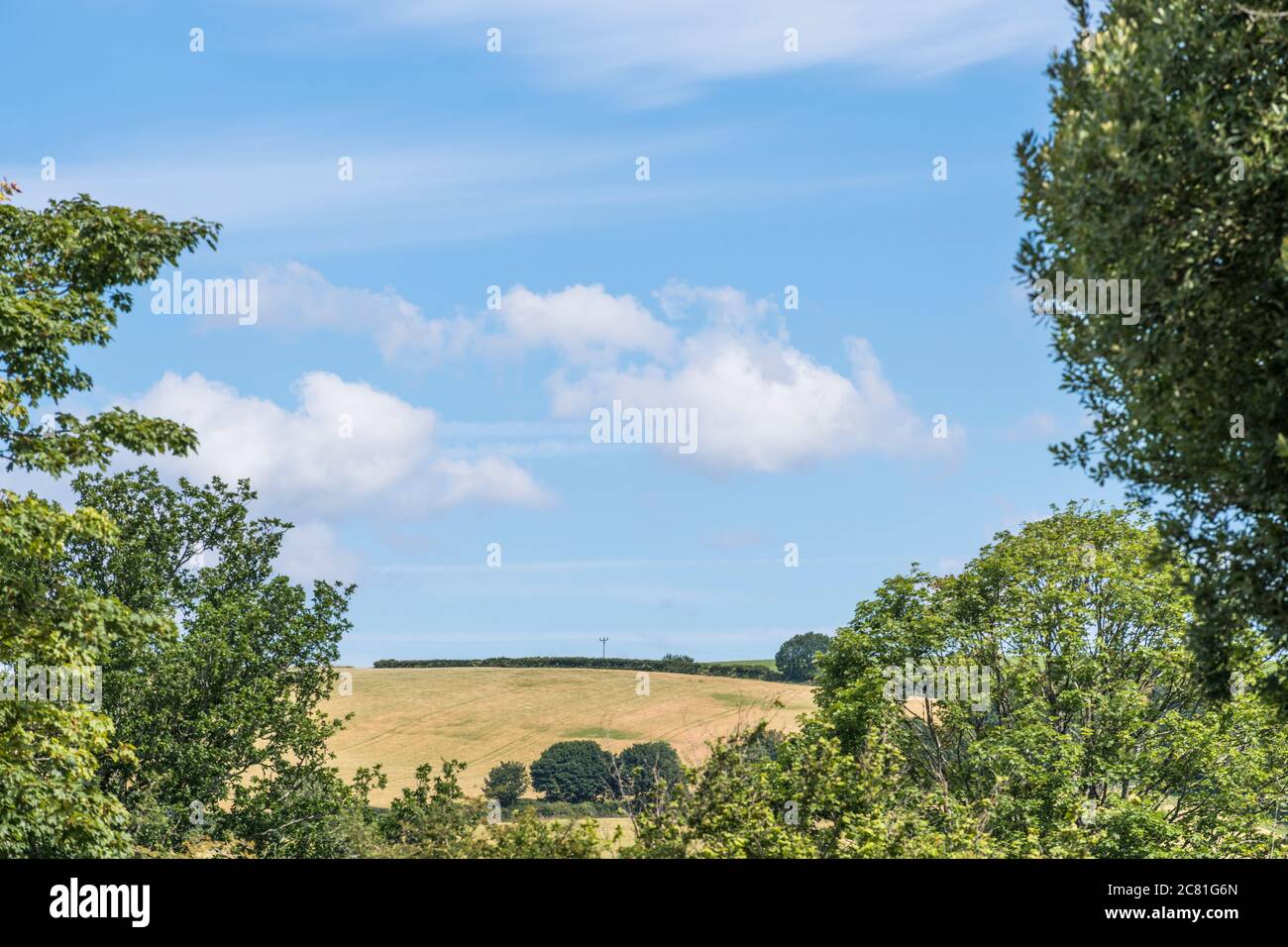 Distant sunlit hillside UK field seen through a gap in the hedgerow. UK farming and agriculture, sunshine in UK, sunny fields UK. Stock Photo