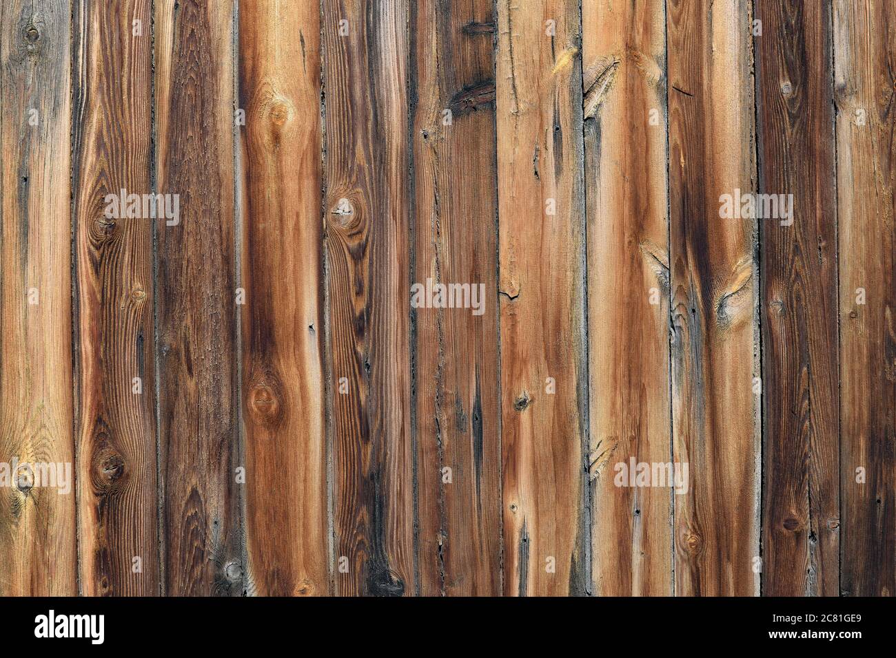 Old Spruce Planks Texture Spruce Planks On Old Fence Table Or Floor Texture Of A Natural Tree Stock Photo Alamy Old Spruce Planks Texture Spruce Planks On Old Fence Table Or Floor Texture Of A Natural Tree Stock Photo Alamy