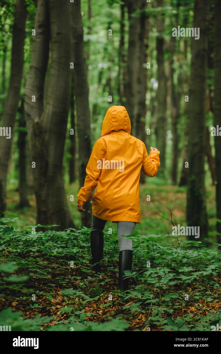 Rear view of woman in green forest hi-res stock photography and images ...