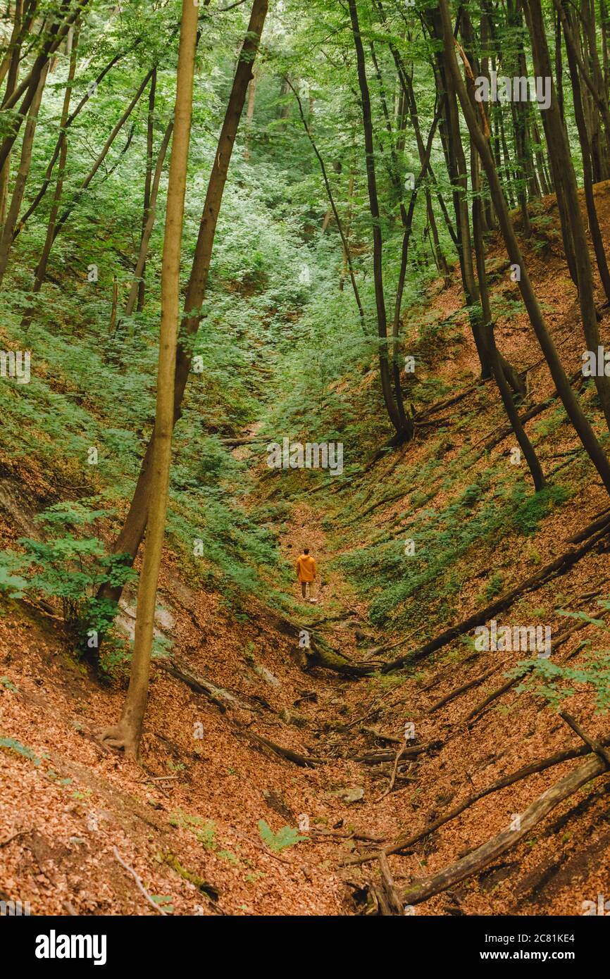 man in yellow raincoat hiking by forest Stock Photo - Alamy