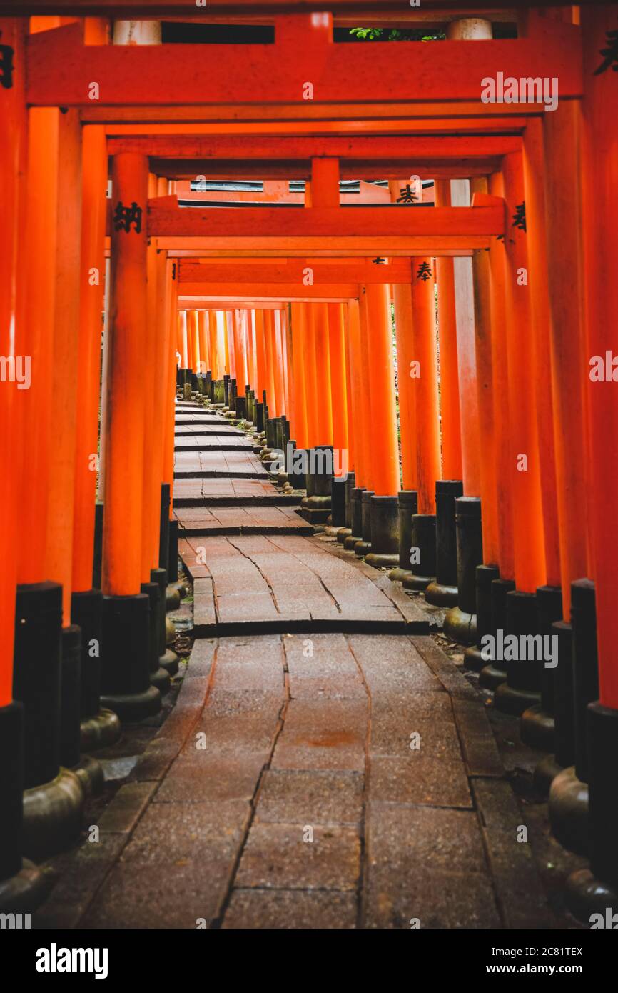 Torii gates of Fushimi Inari Taisha; Kyoto, Kansai, Japan Stock Photo