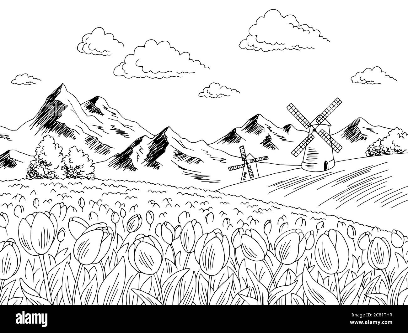 Tulip Flower Field Graphic Black White Landscape Sketch Illustration Vector Stock Vector Image Art Alamy