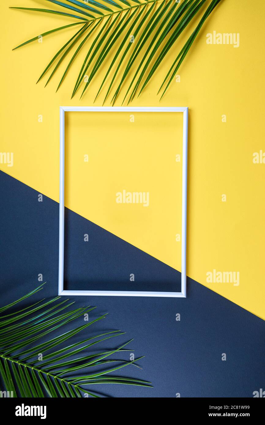 Summer composition with photo frame and green leaves on yellow and black background. Creative mockup with copy space and tropical leaves. Stock Photo
