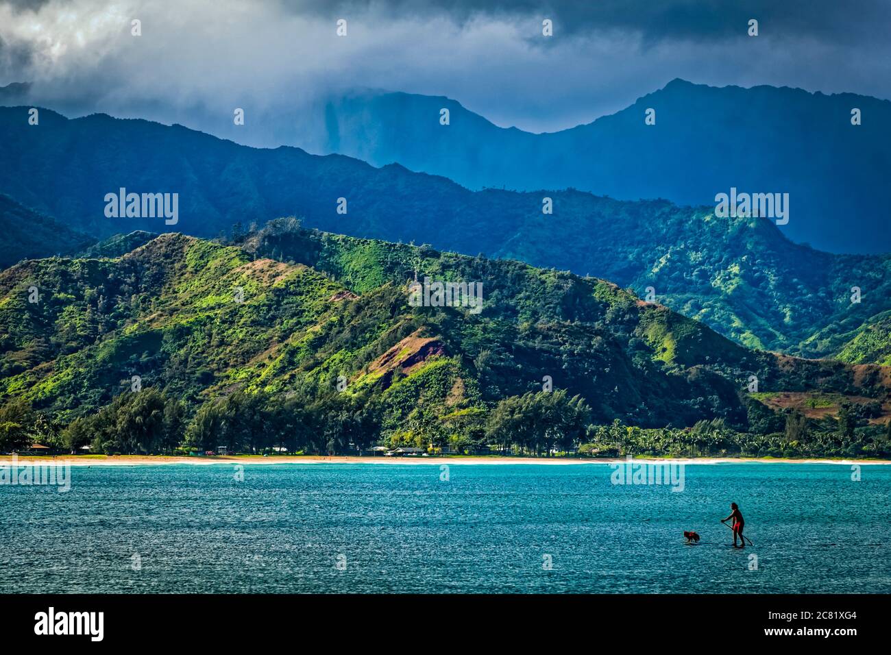 A man and his dog on a stand up paddle board in Hanalei Bay with