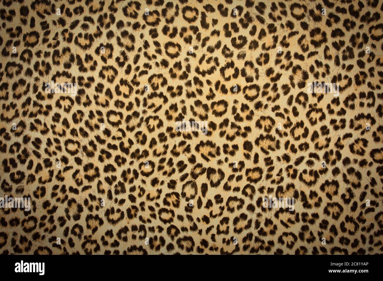 leopard skin background texture, real fur retro design, close-up wild animail hair modern Stock Photo