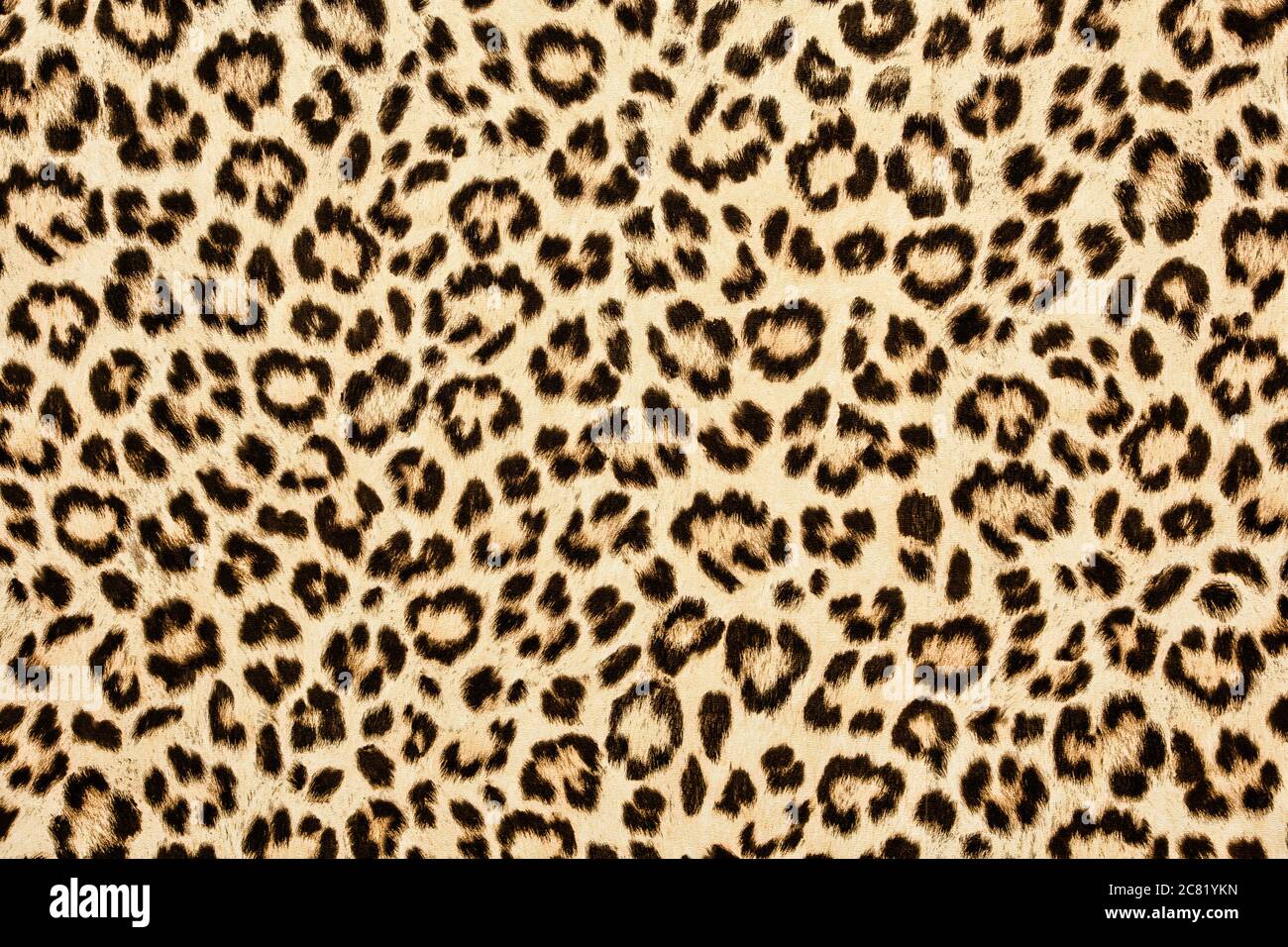 leopard skin background texture, real fur retro design, close-up wild animail hair modern Stock Photo