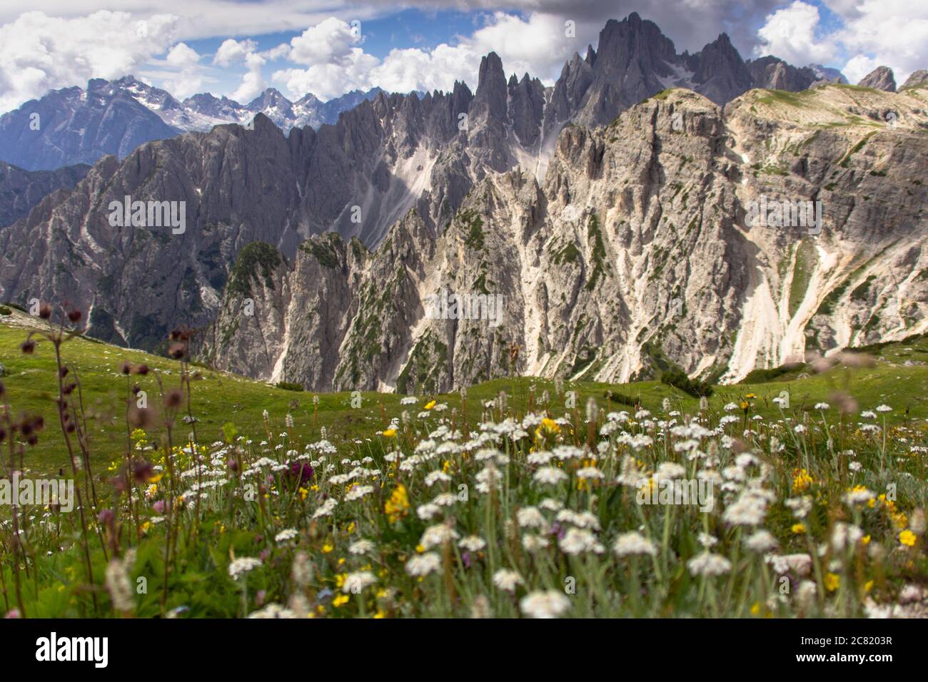 Incredible nature landscape in Dolomites Alps. Spring blooming meadow ...