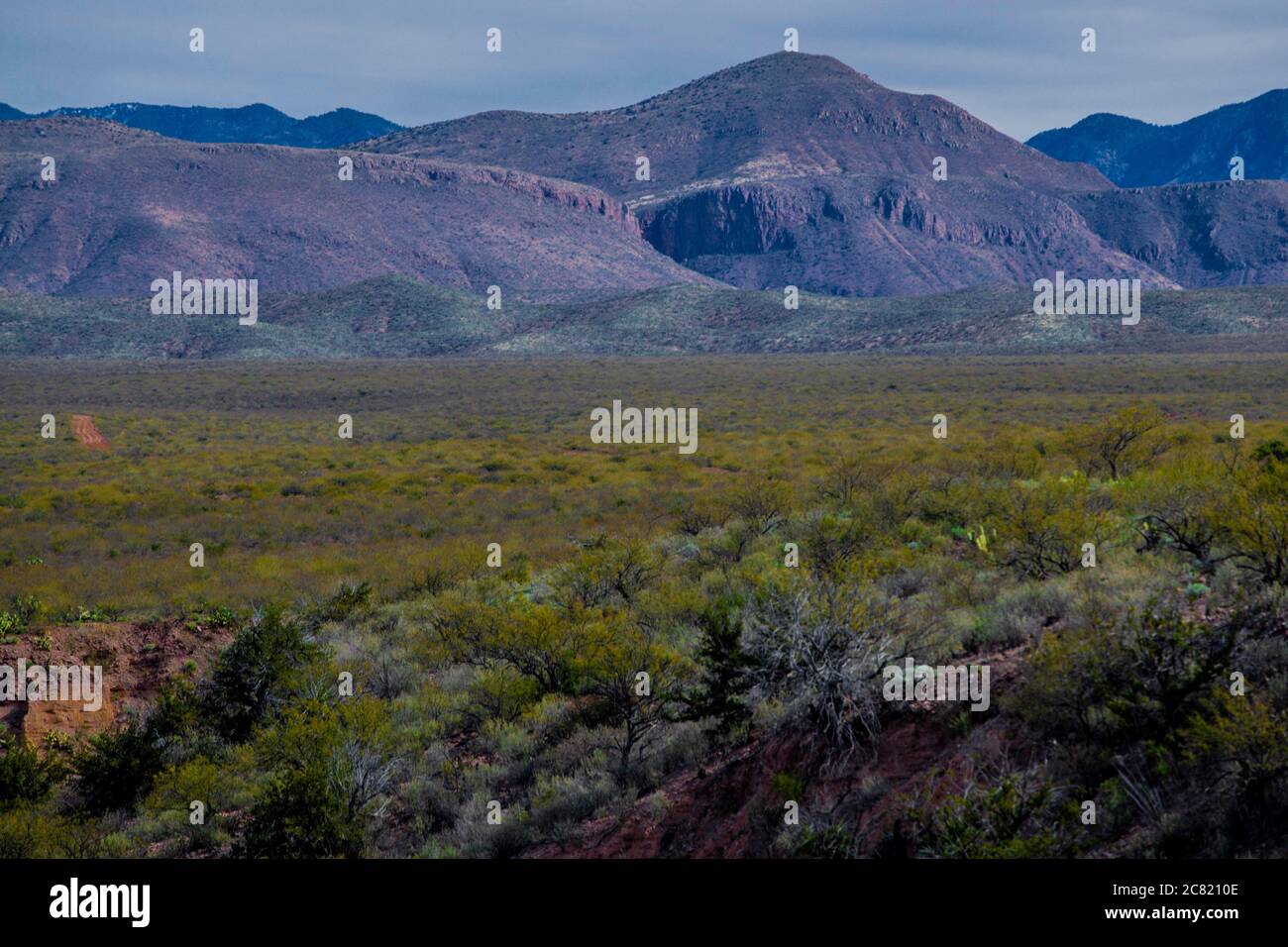 Landscape of the hills and desert vegetation of the Sierra Alta in Bavispe, Sonora, Mexico. desert. hillPaisaje de los cerros y vegetacion desertica d Stock Photo