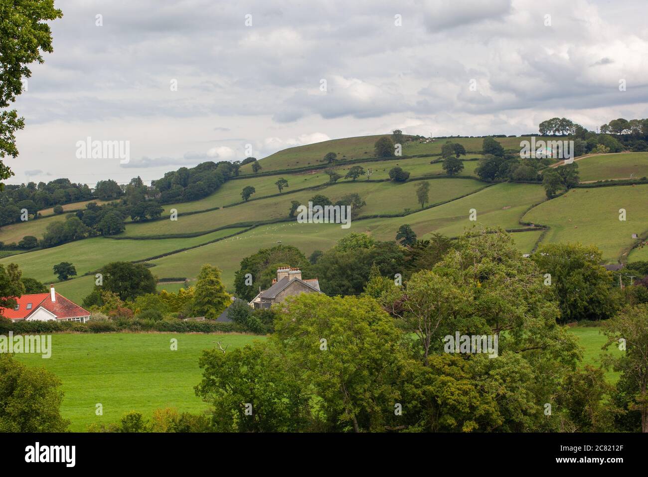 Travel East Devon / Countryside /concept/ British Landscape - Rolling ...