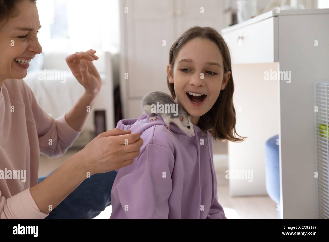 Overjoyed mother and teenage daughter playing with cute rat Stock Photo
