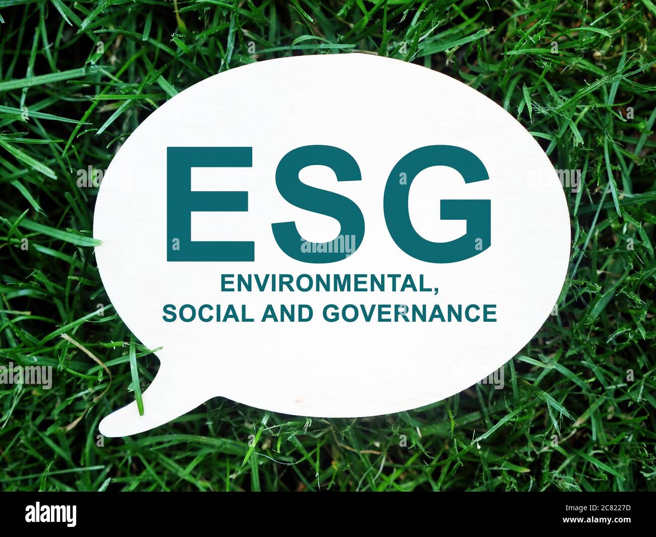 ESG Environmental, Social and Governance sign on the plate. Stock Photo
