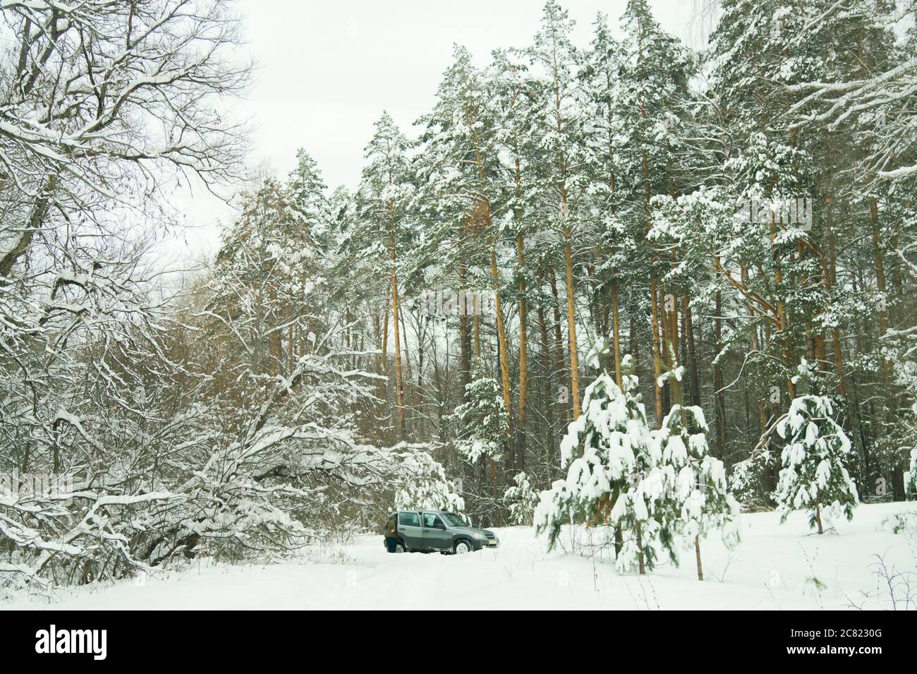 An SUV parked in a snowy forest with two people getting out of the car ...