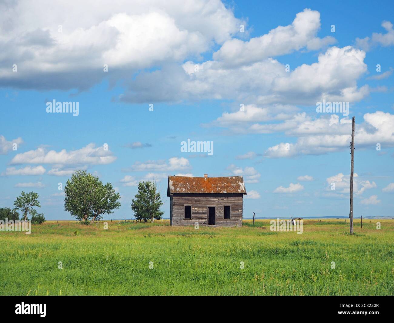 Shack on farmland, Alberta, Canada Stock Photo