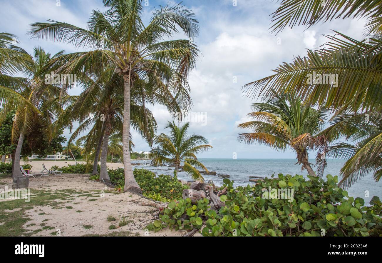 tamarind resort st croix