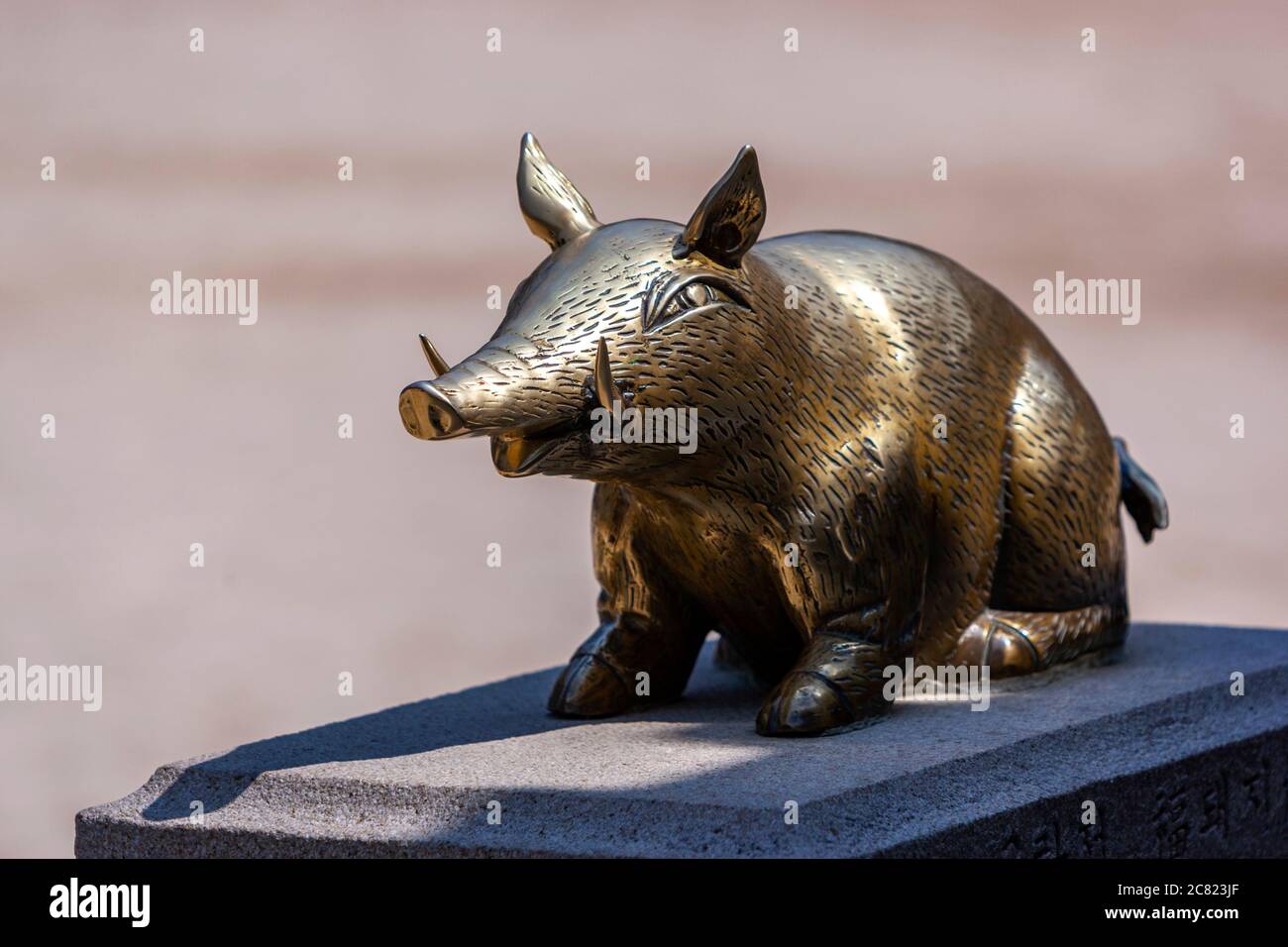 Gold Pig Images – Browse 47 Stock Photos, Vectors, and Video