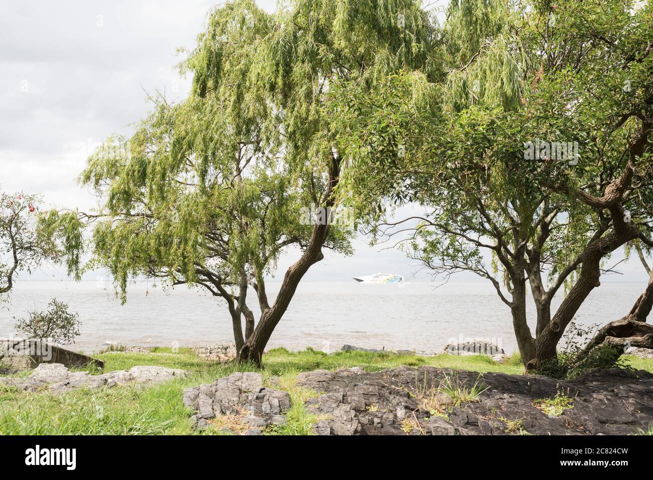 Colonia del Sacramento / Uruguay; Jan 2, 2019: bank of La Plata river, trees and a passenger transport ship Stock Photo