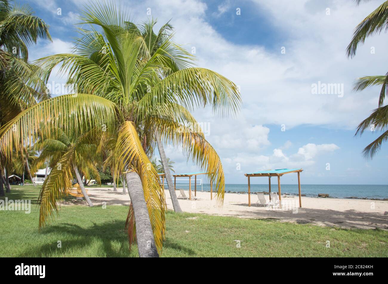 tamarind resort st croix