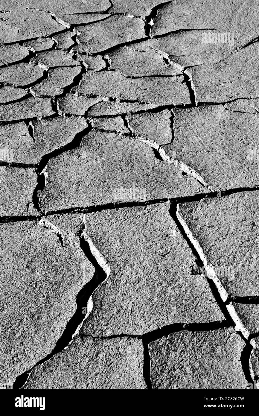 Dry land and birds footprint. Cracked ground texture background. Dry cracked earth texture photo. Stock Photo