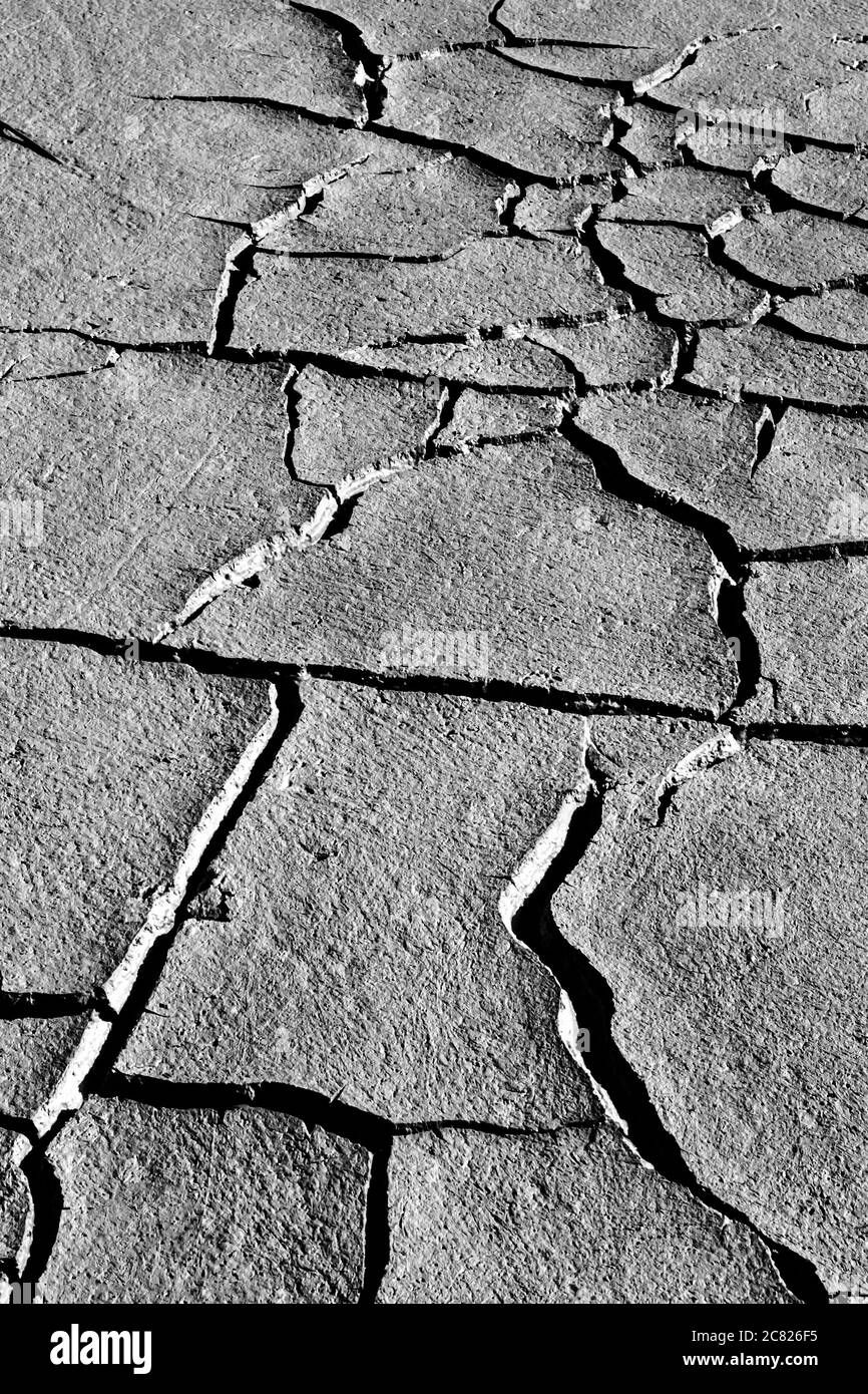 Dry land and birds footprint. Cracked ground texture background. Dry cracked earth texture photo. Stock Photo