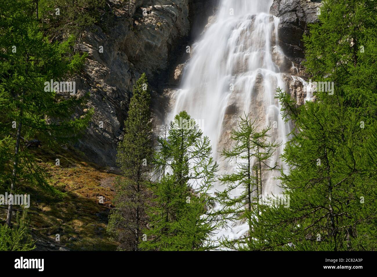 La Pisse waterfall in summer in the Queyras Regional Natural Park. Ceillac, Hautes-Alpes, Alps, France Stock Photo