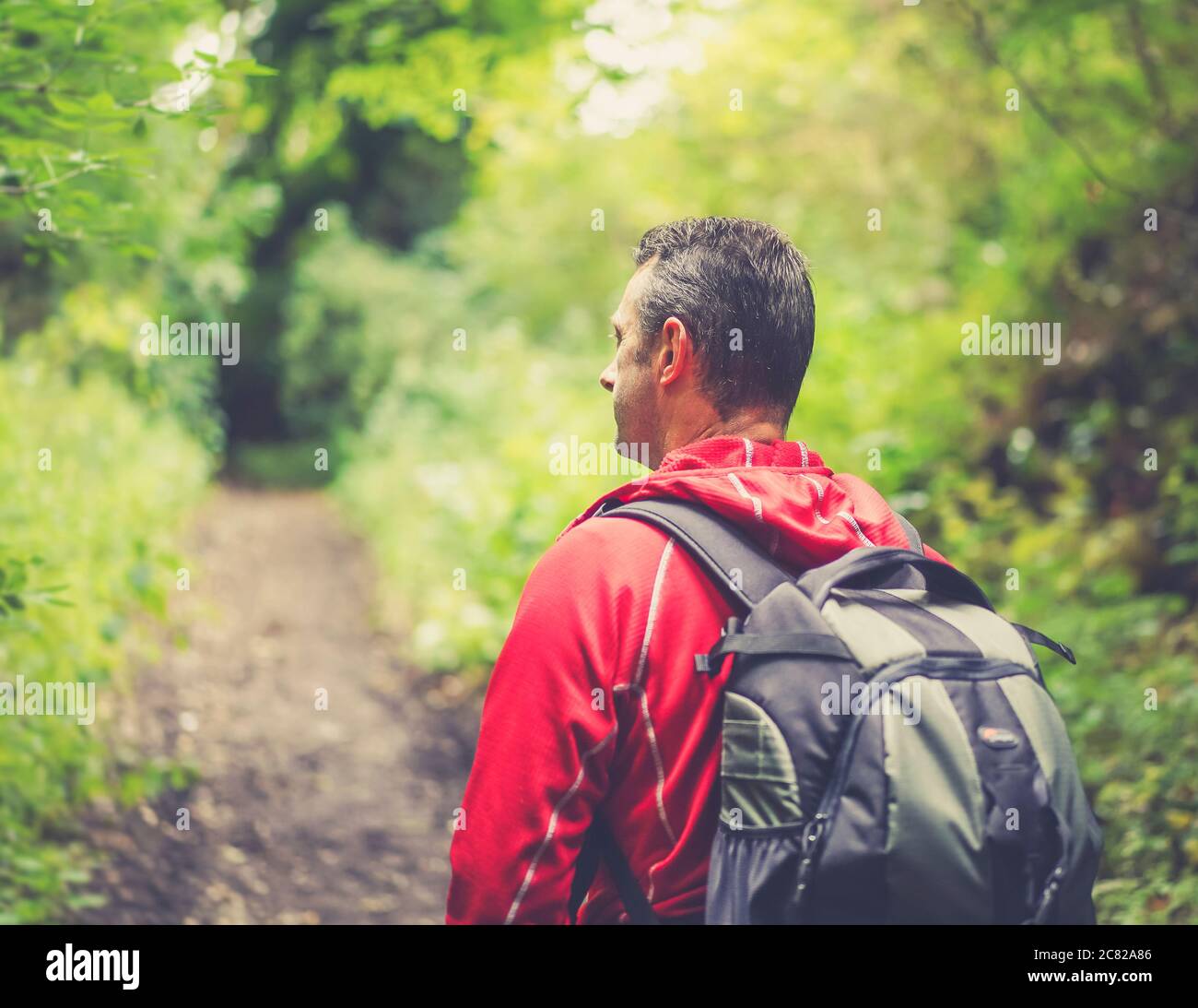 Walk With Rucksack Close, rear view of man (top section) isolated in rural setting walking ...