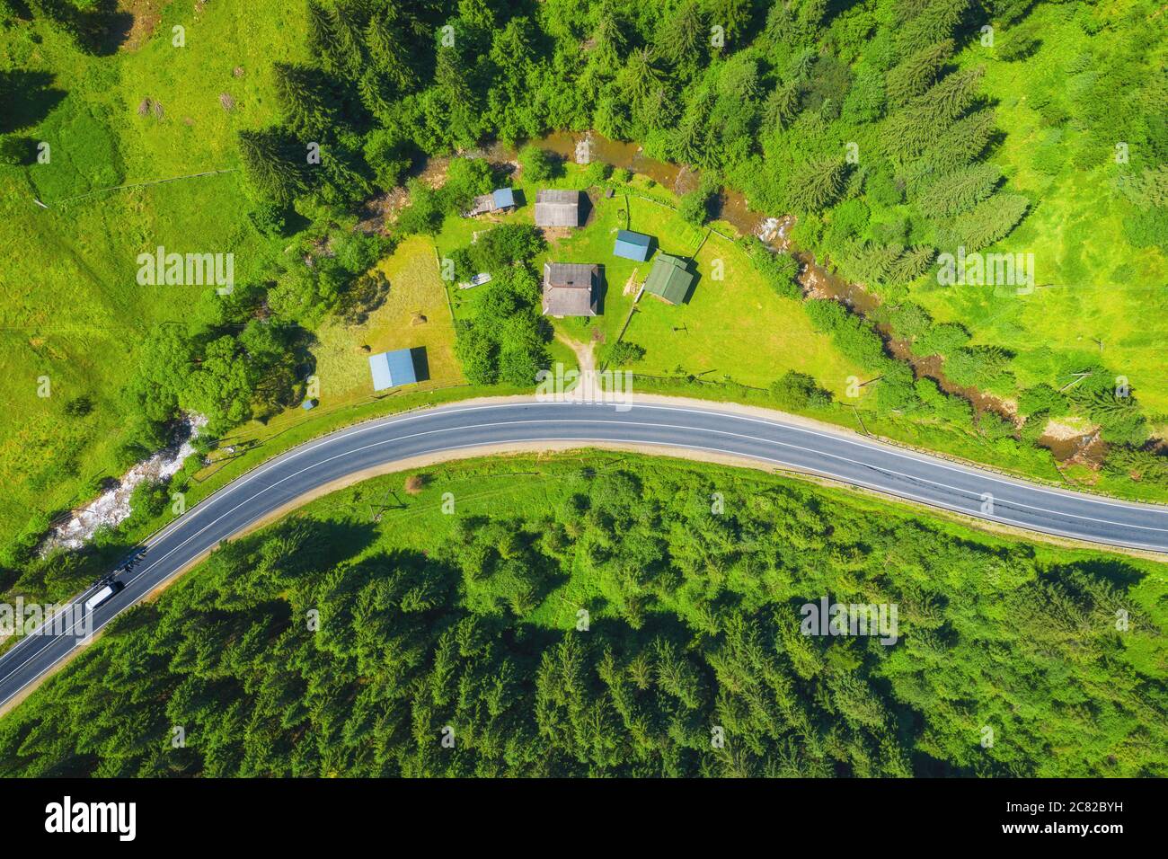 Aerial view of road in beautiful green forest at sunset Stock Photo