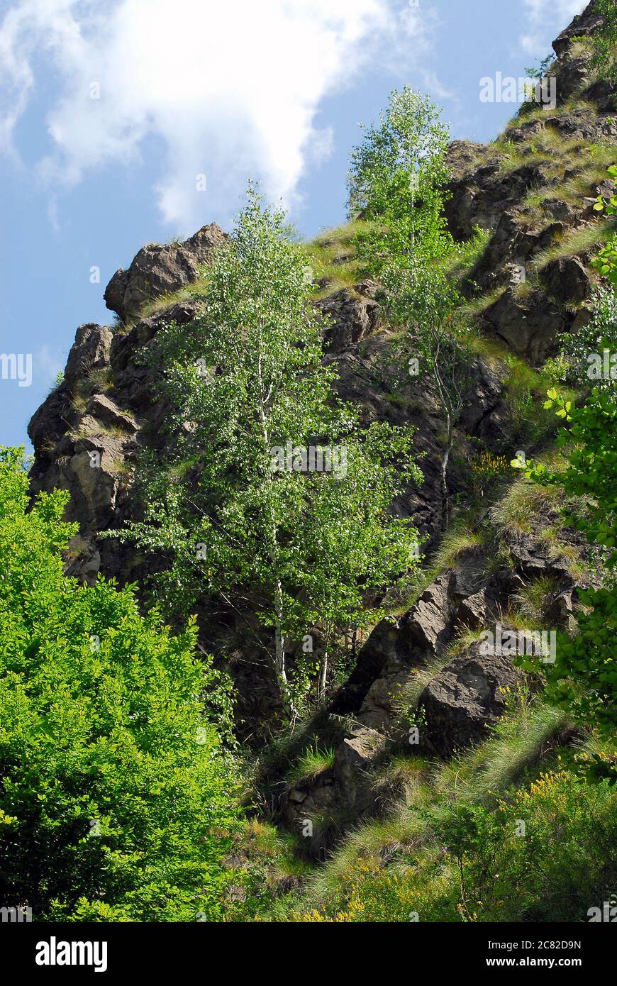 Runki szoros hi-res stock photography and images - Alamy