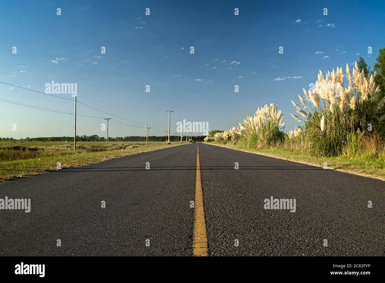 Empty asphalt road through the green field and clouds on blue sky Stock ...
