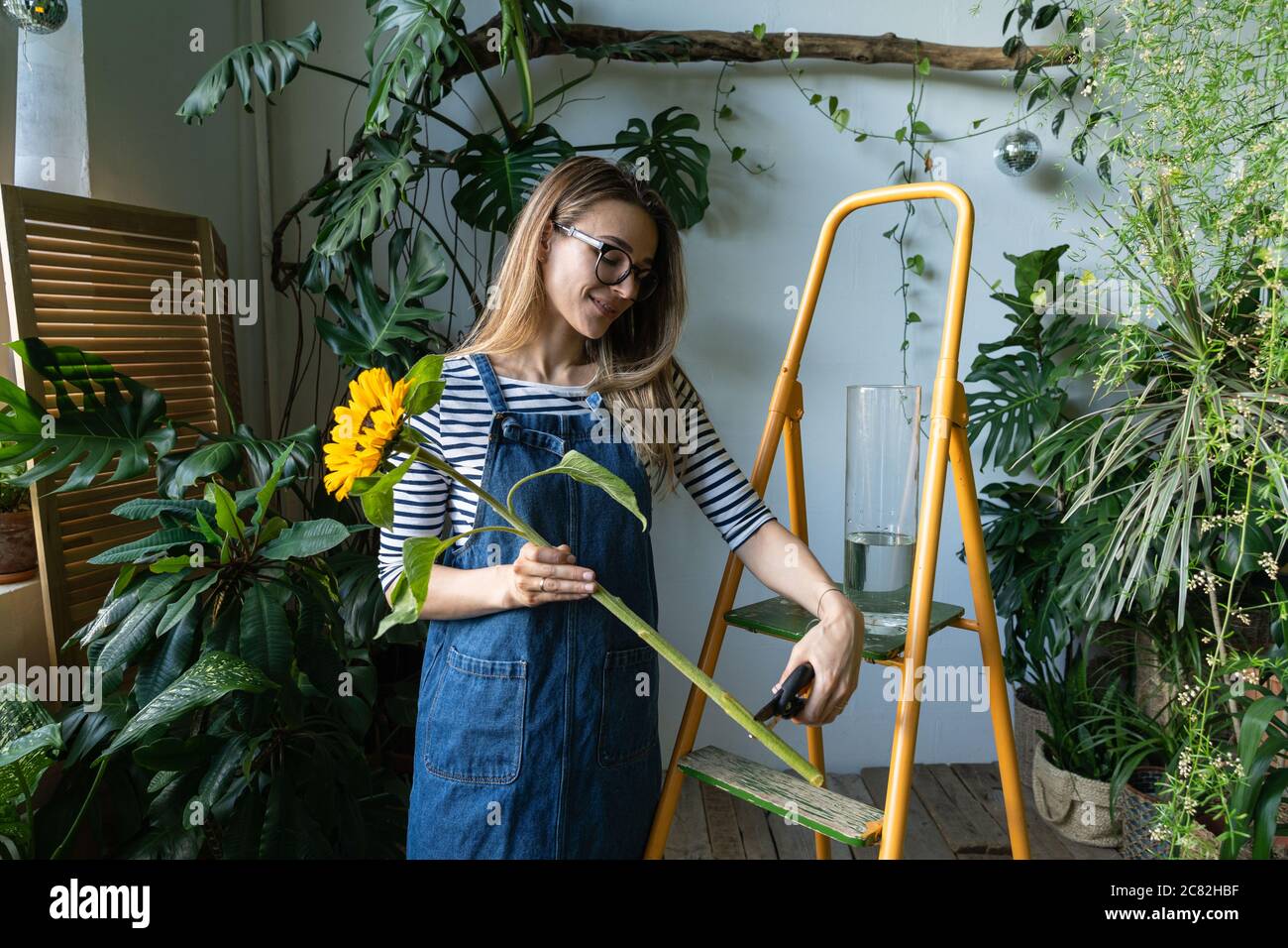 Small business. Florist woman surrounded by tropical plants cutting the stem of yellow sunflower using secateurs, standing near the orange stepladder. Stock Photo