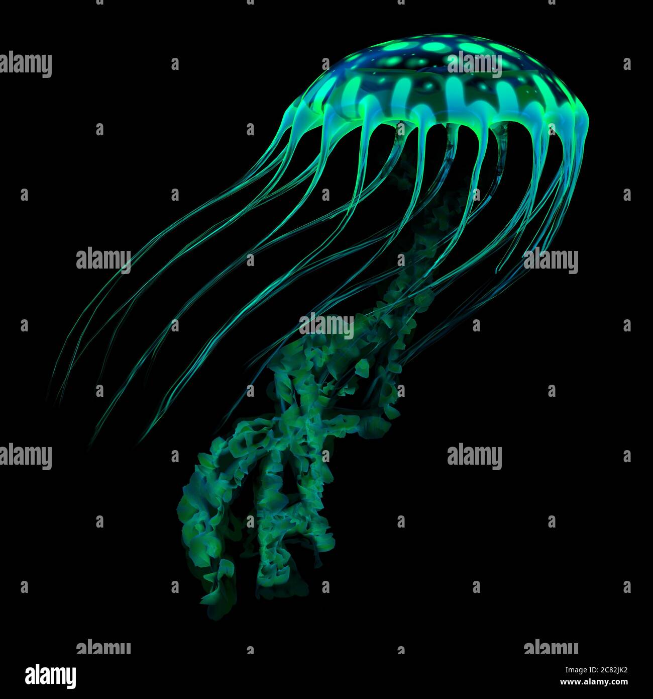 A glowing spotted jellyfish flows through the dark ocean with bioluminescent colors searching for prey. Stock Photo