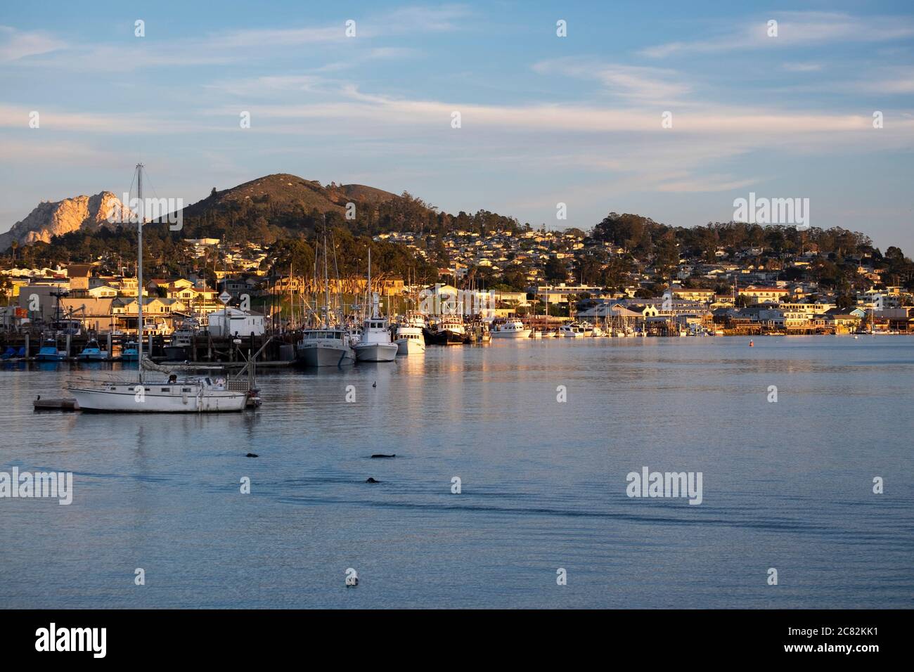 Recreational boats hi-res stock photography and images - Alamy