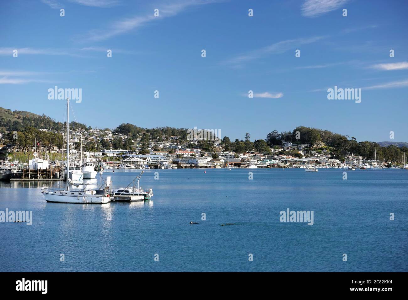 Fishing boats under a blue summer sky in Morro Bay, California Stock Photo