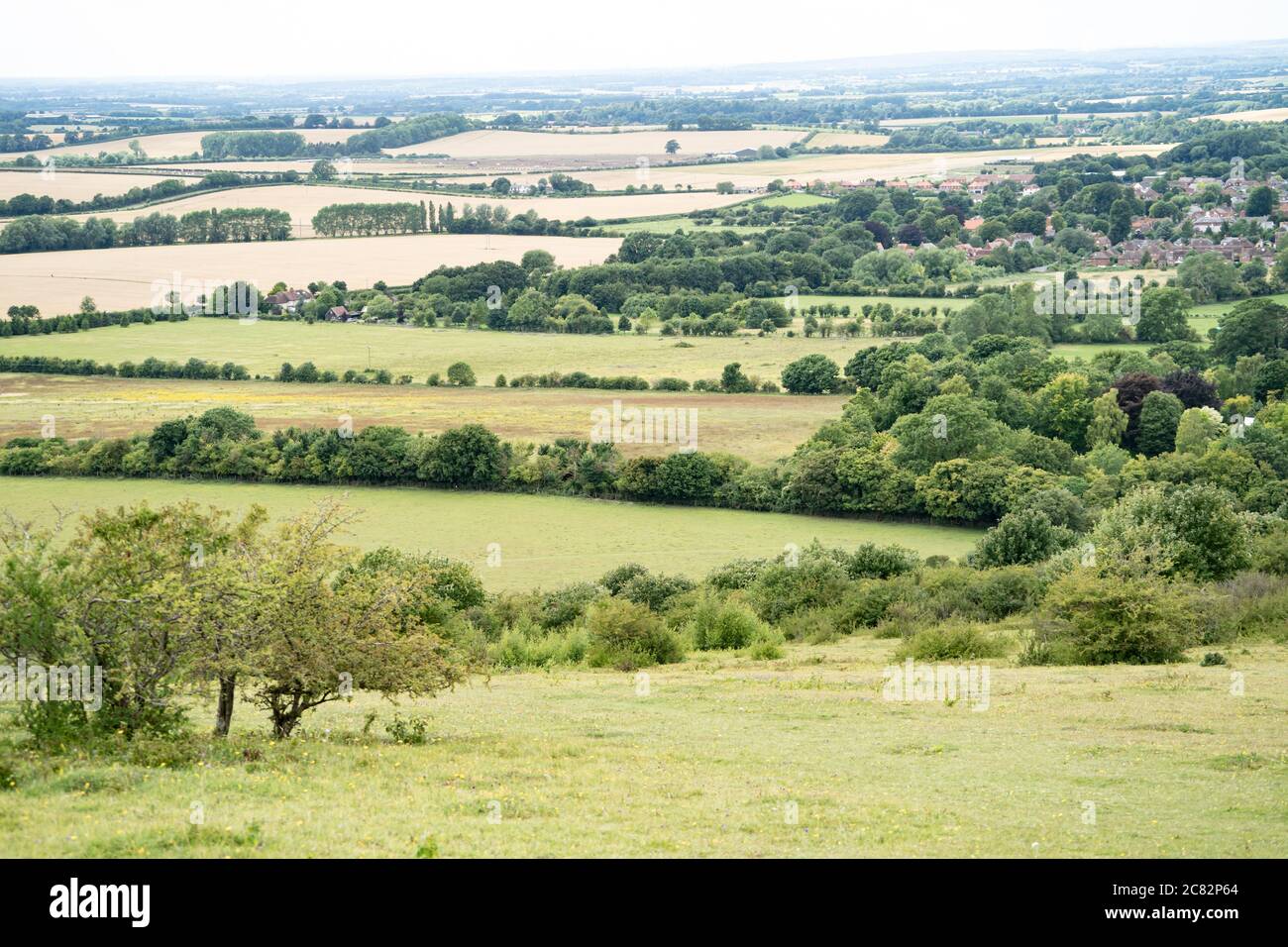 Watlington Hill, The Chiltern hills Area of Outstanding Natural Beauty. Oxfordshire, UK Stock Photo