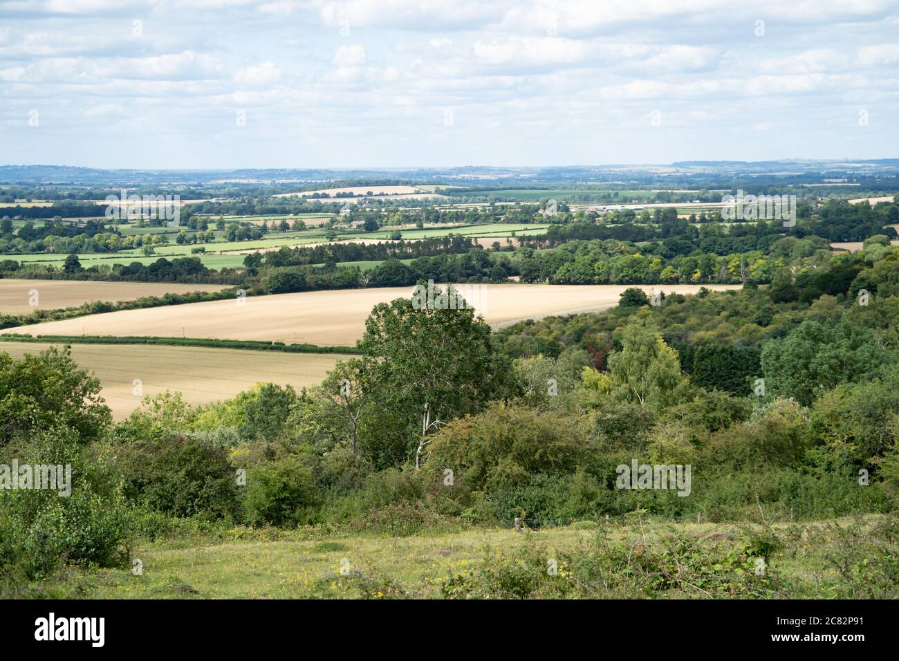 Watlington Hill, The Chiltern hills Area of Outstanding Natural Beauty. Oxfordshire, UK Stock Photo